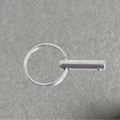 RVS Fastpin / Pullpin, met ring