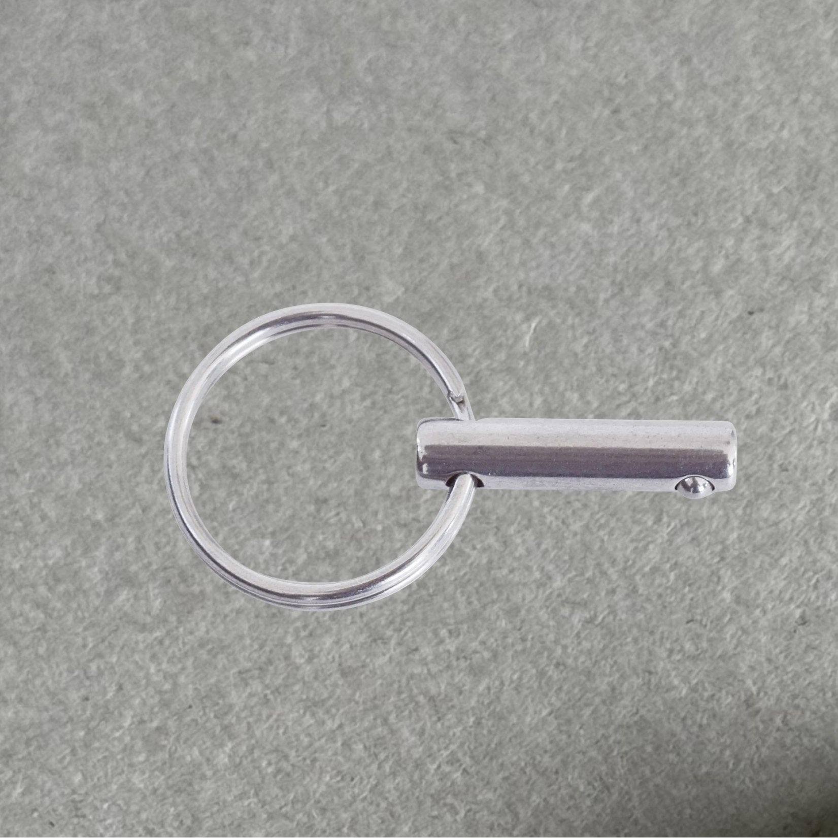 RVS Fastpin / Pullpin, met ring