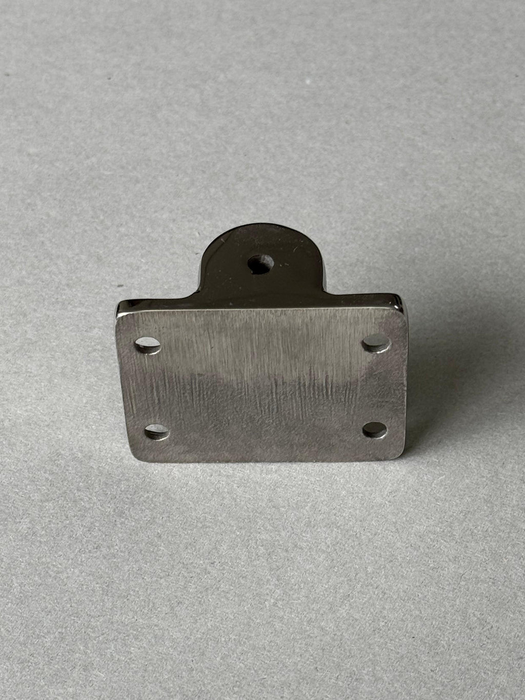 RVS Buiskaphouder - Wand - RVS 316
