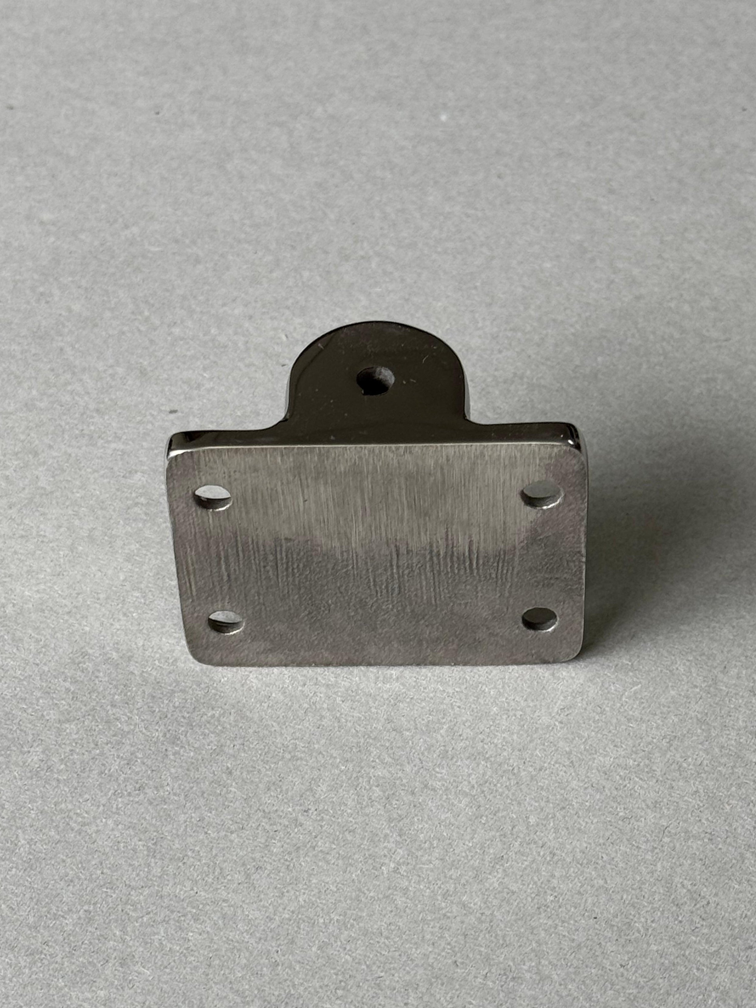 RVS Buiskaphouder - Wand - RVS 316