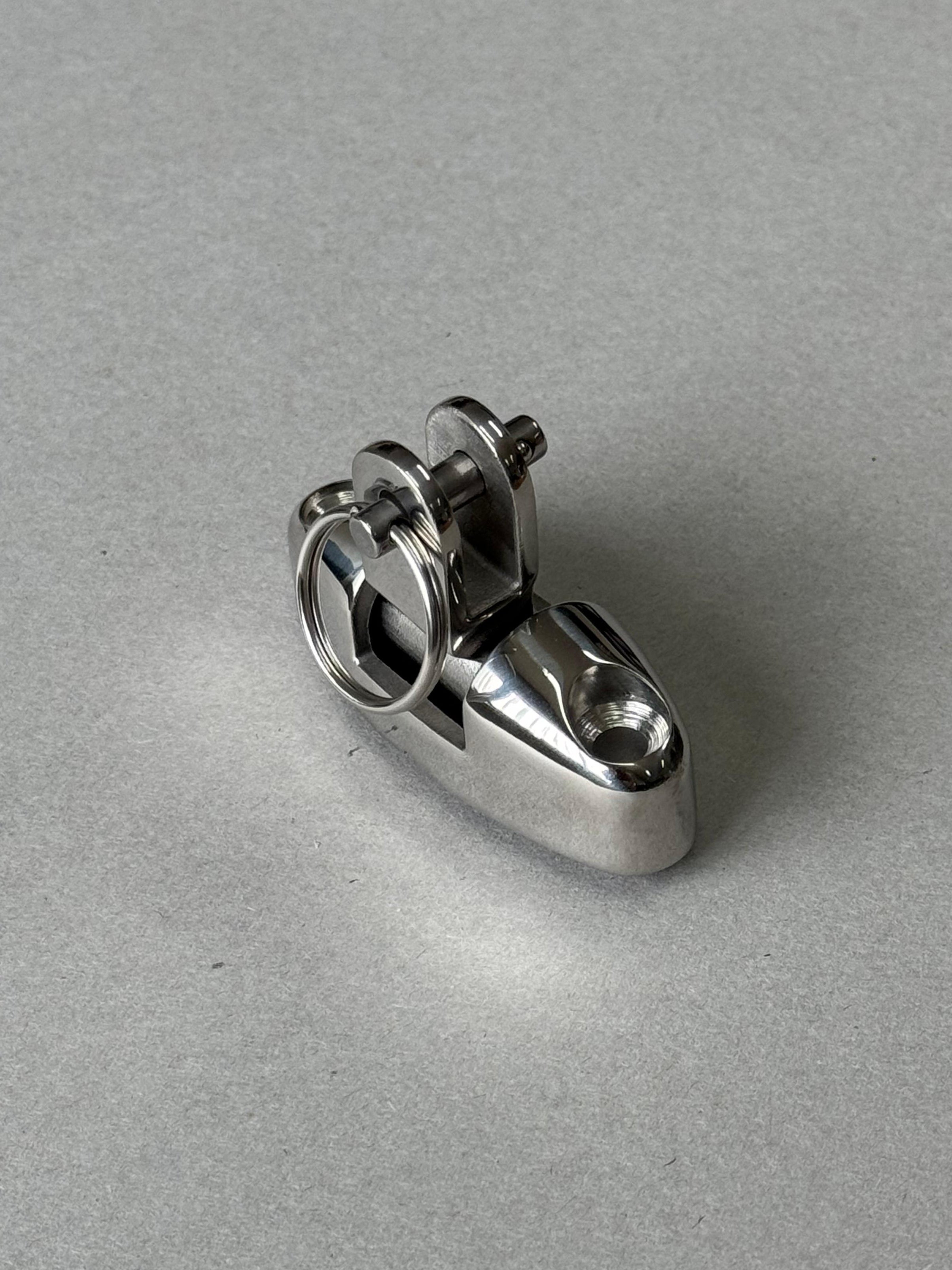 RVS Fastpin / Pullpin, met ring